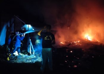 Kasus Kebakaran di Seruyan Fluktuasi Tiga Tahun Terakhir