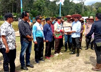 Bupati H Nadalsyah Serahkan Bantuan Alsintan ke Poktan di 6 Kecamatan