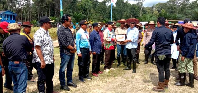 Bupati H Nadalsyah Serahkan Bantuan Alsintan ke Poktan di 6 Kecamatan