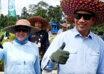 Mantap,  Hasil Panen di Lahan Poktan Mitra Laba Capai 8 Ton