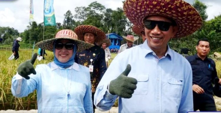 Mantap, Hasil Panen di Lahan Poktan Mitra Laba Capai 8 Ton