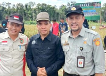 Tahun 2022 Luas Tanam 8.480 Ha Menghasilkan Produksi Padi 34.963 Ton di Barito Utara
