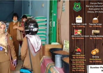 Disdagperinkop dan UKM Kapuas Rutin Pantau Harga Bapok