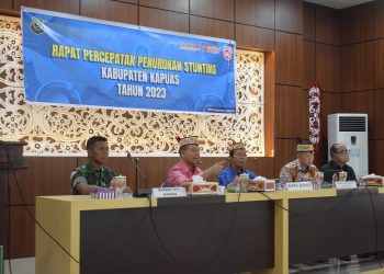 Angka Stunting Kabupaten Kapuas 20,1%
