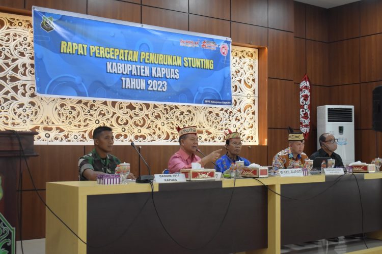Angka Stunting Kabupaten Kapuas 20,1%