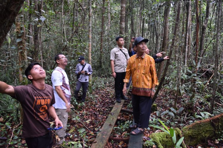 Wabup Kapuas Kunjungi Stasiun Penelitian Orangutan Tuanan