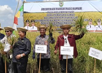 Ketua DPRD Seruyan Apresiasi Panen Padi Kelompok Tani Desa Pematang Limau