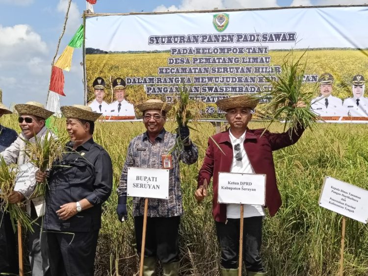Ketua DPRD Seruyan Apresiasi Panen Padi Kelompok Tani Desa Pematang Limau