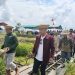 Apresiasi Kepedulian DPRD Provinsi Kalteng Terhadap Pertanian di Seruyan