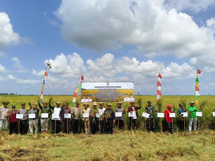 Kelompok Tani Desa Pematang Limau Gelar Syukuran Panen Padi
