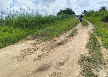 Kabar Baik, Jalan Sentra Pertanian Desa Pematang Limau Akan Dikerjakan