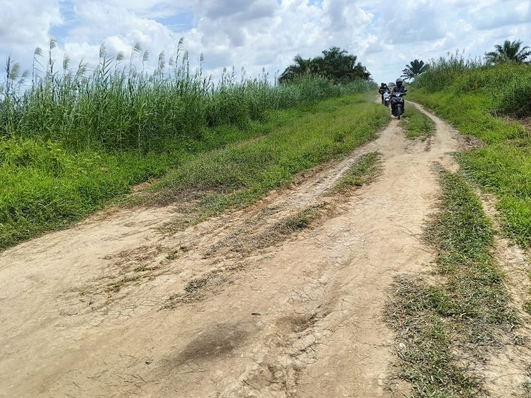 Kabar Baik, Jalan Sentra Pertanian Desa Pematang Limau Akan Dikerjakan