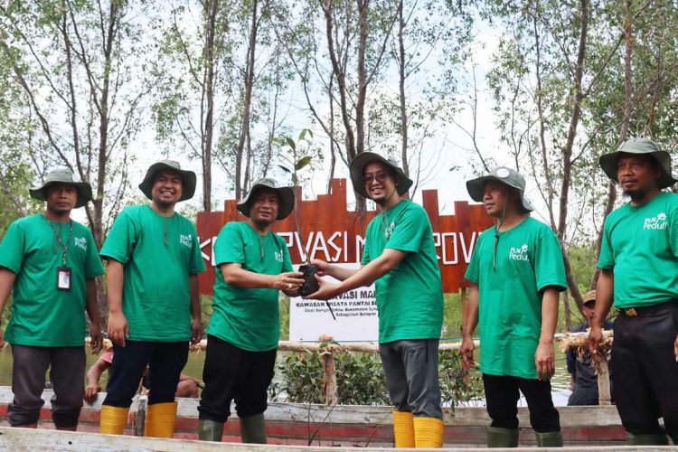 PLN Tanam Mangrove, Pemkab Harapkan Bermanfaat Secara Ekologis dan Ekonomis