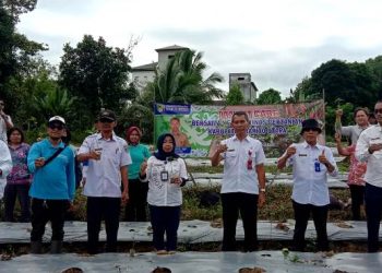 Distan Barut Bersama Poktan Holtikultura Desa Trinsing Tanam Ribuan Cabe