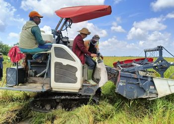 Sistem Sewa Combine Perlu Diatur Kembali