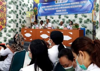 Dinkes Barut Gelar Pertemuan Evaluasi SPM dan Ra SPM Kesehatan 2023