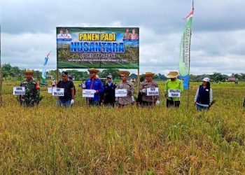 Distan Barut Ikuti Panen Raya Padi Nusantara Satu Juta Hektar