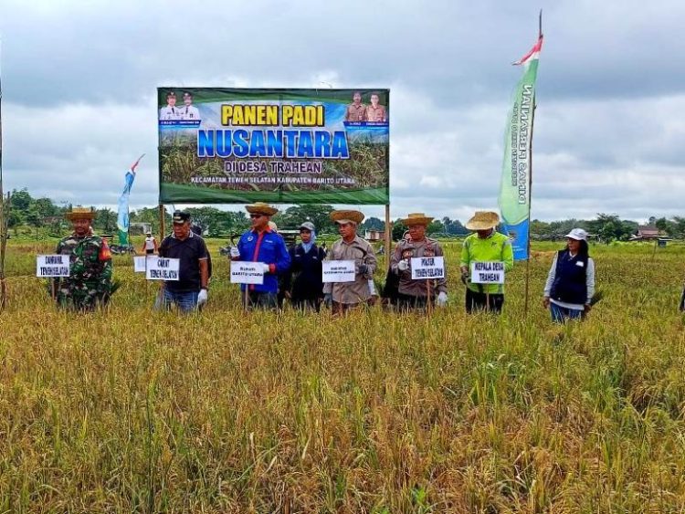 Distan Barut Ikuti Panen Raya Padi Nusantara Satu Juta Hektar