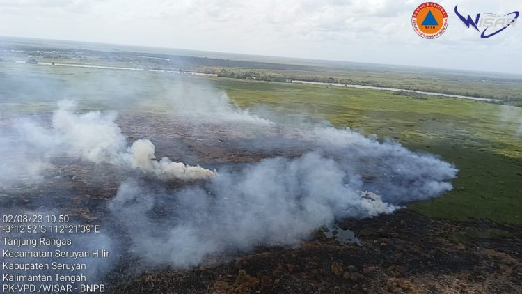Astaga! Lahan Seluas 50 Hektare di Tanjung Rangas Terbakar