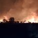 Api Kembali Berkobar di Hutan Seruyan, Kali ini di Daerah Transmigrasi