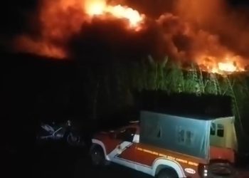 Stop Kebakaran Hutan dan Lahan