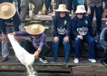 Nadalsyah Restocking 73 Ribu Benih Ikan di DAM Trinsing Kecamatan Teweh Selatan