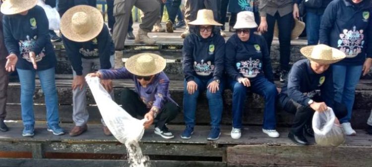 Nadalsyah Restocking 73 Ribu Benih Ikan di DAM Trinsing Kecamatan Teweh Selatan