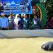 Sekda Barut Kunjungi Festival Budaya Iya Mulik Bengkang Turan