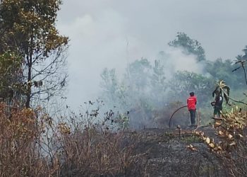 20 Hektare Lahan di Kuala Pembuang Hangus Terbakar