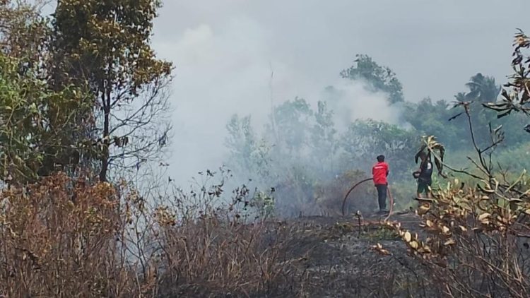 20 Hektare Lahan di Kuala Pembuang Hangus Terbakar