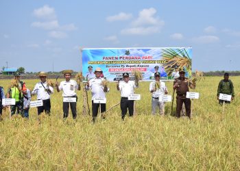 Pj Bupati Kapuas Apresiasi Panen Padi Perdana di Desa Saka Binjai