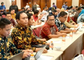 Kadisarpustaka Kapuas Hadiri Harmonisasi DAK 2024 di Perpusnas