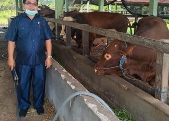 Permintaan Daging Tinggi, Legislator ini Dorong Sektor Peternakan Lebih Ditingkatkan
