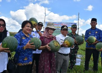 Panen Perdana Semangka di Desa Pulau Keladan, Pj Bupati Ajak Masyarakat Manfaatkan Lahan Kosong