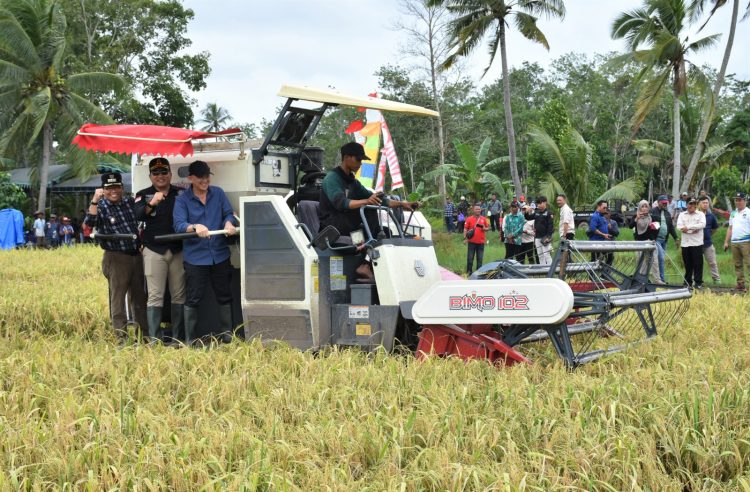 Pj Bupati Kapuas Bersama Forkopimda Lakukan Panen Di Desa Warna Sari