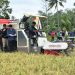 Pj Bupati Kapuas Bersama Forkopimda Lakukan Panen Di Desa Warna Sari