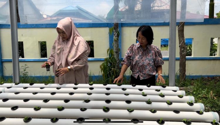 DWP Disarpustaka Kapuas Kembangkan Budidaya Tanam Hidroponik