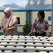 DWP Disarpustaka Kapuas Kembangkan Budidaya Tanam Hidroponik