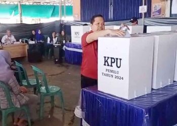 Dewan Apresiasi Pemilu 2024 Berjalan Lancar