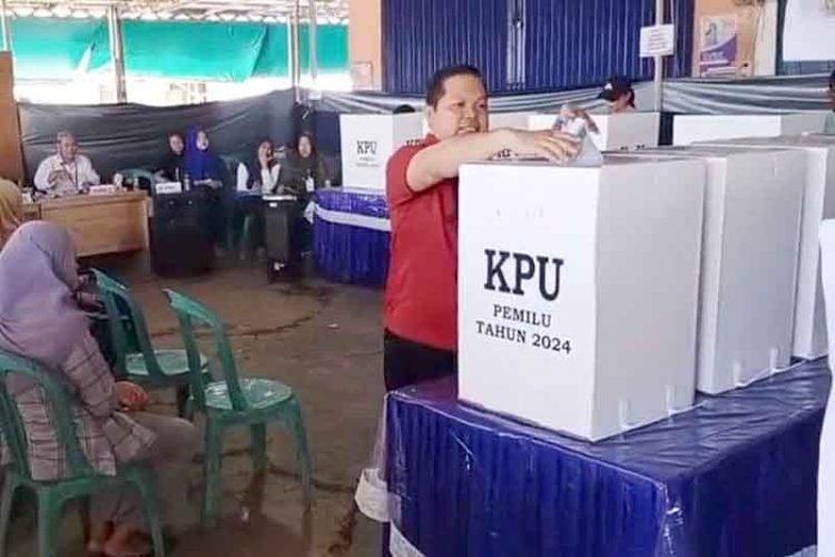 Dewan Apresiasi Pemilu 2024 Berjalan Lancar