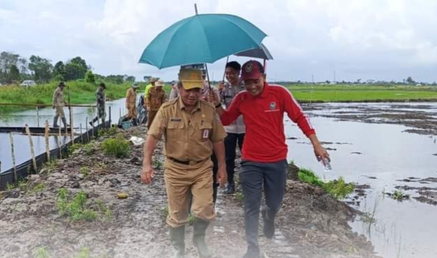 Tanam Padi di Desa Pematang Limau Diharapkan Tingkatkan Produktifitas
