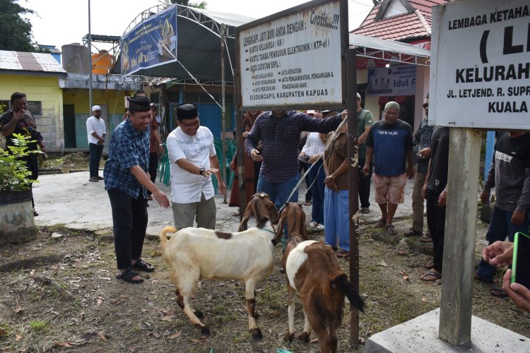 Pj Bupati Kapuas Kunjungi Kantor Kelurahan Selat Hilir, Serahkan Dua Ekor Hewan Kurban