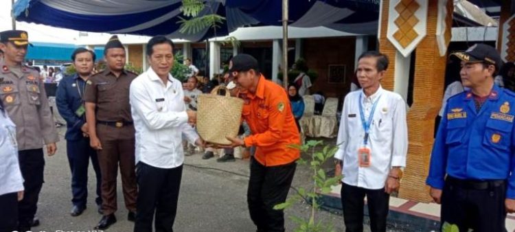 Peringati Hari Lingkungan Hidup Sedunia, DLH Barut Bagikan Bibit Tanaman