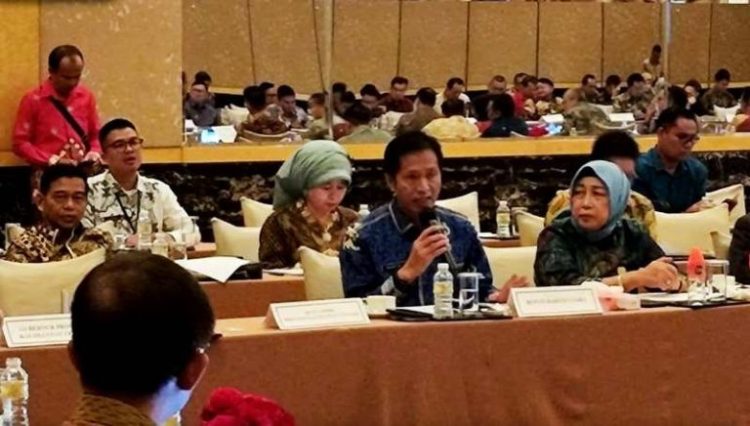 Ketua DPRD Barut Hj Mery Rukaini Hadiri FGD Ketenagalistrikan dengan Kementerian ESDM RI