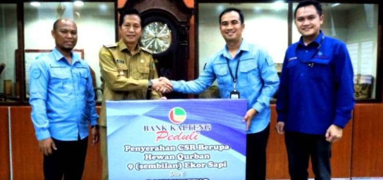 Pemkab Barut Terima 9 Ekor Sapi Qur’ban dari PT Bank Kalteng Cabang Muara Teweh 
