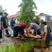 Dinas PUPR Sembelih Sembilan Ekor Sapi Qurban