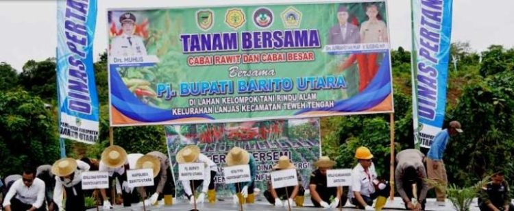 Dinas Pertanian Barut Laksanakan Kegiatan Tanam Cabe Besar Bersama Poktan Rindu Alam
