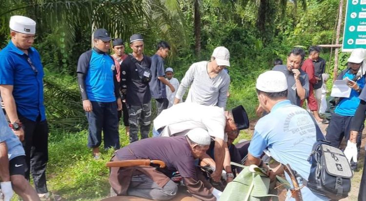 Pj Bupati Djainuddin Noor Potong Hewan Qurban 