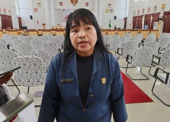 Rawan Kecelakaan, Atinita Minta Pemda Perbaiki 3 Jembatan di Hulu Seruyan ini