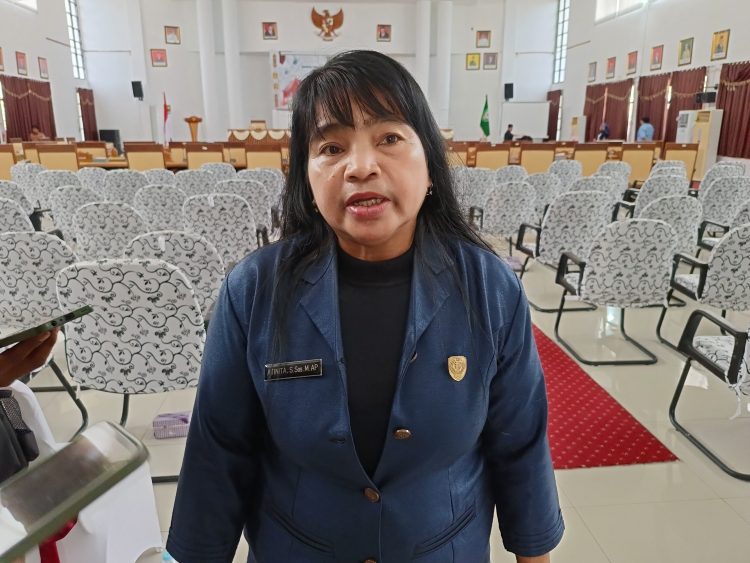 Rawan Kecelakaan, Atinita Minta Pemda Perbaiki 3 Jembatan di Hulu Seruyan ini